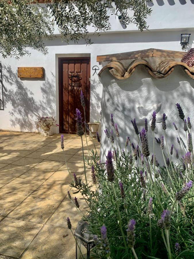 Séjour chez l'habitant Lavender Almeria Arboleas